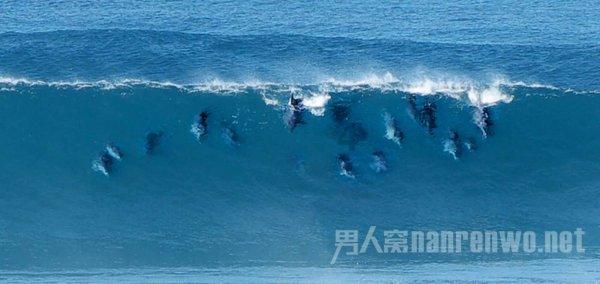 春节临近年味渐浓 海鲜礼盒受青睐 商户花式销售方便市民选购